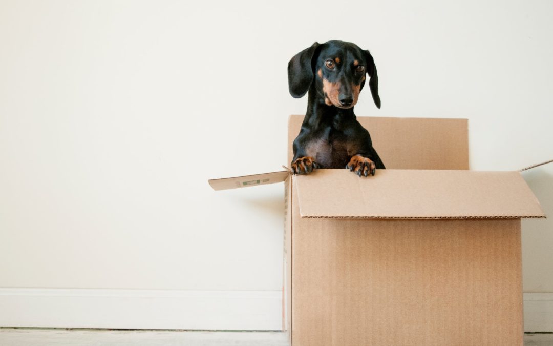 8 Packing Tips – Moving Day Made Simple