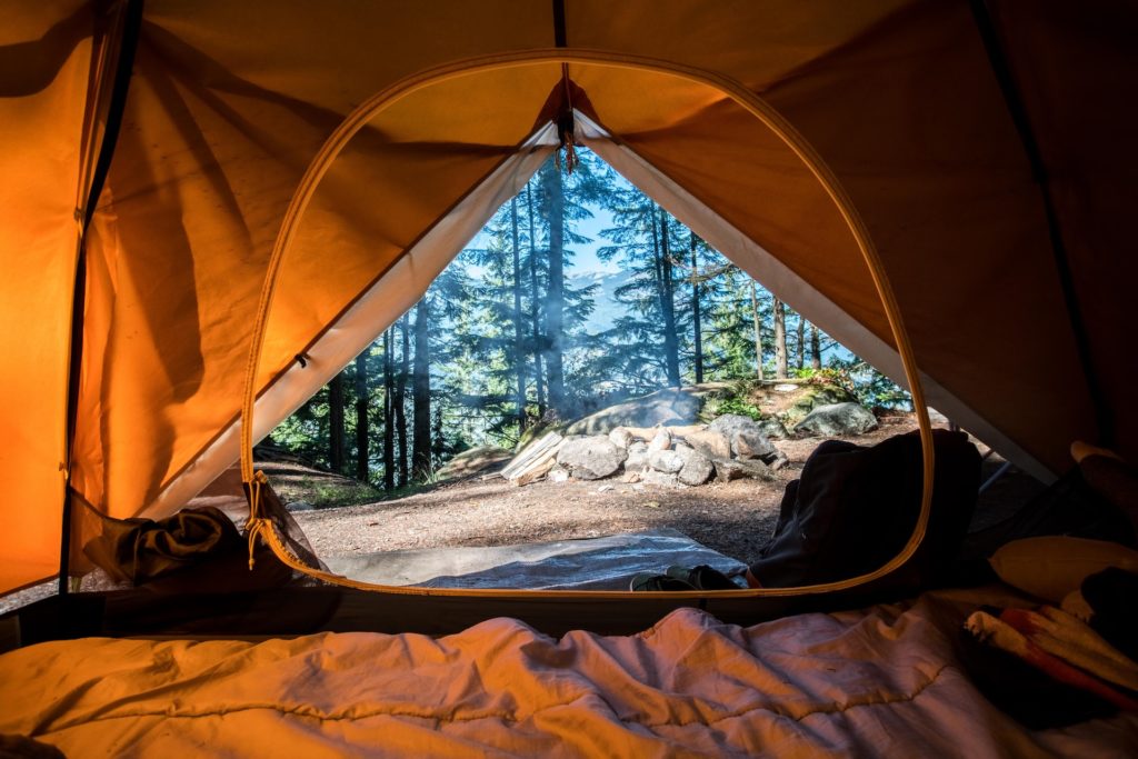POV image of someone looking out of an open camping tent in Port Alberni 